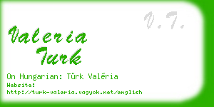 valeria turk business card